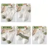 Meias Baixas 2025 Primavera/Verão Novo Estilo Verde Leite Fresco Meias de Desenho Animado Estilo Japonês Respiráveis Meias Cano Baixo Atacado do Fabricante