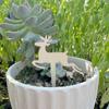 Jardinagem flor carnuda etiqueta placa de madeira inserção DIY bolo plug-in atacado planta etiqueta de planta em forma de T