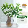Planta Hidropónica Jazmín en Maceta Perenne de Cuatro Estaciones con Capullos, Flores, Florales y Plantas Verdes, Fácil de Mantener en Oficinas Interiores