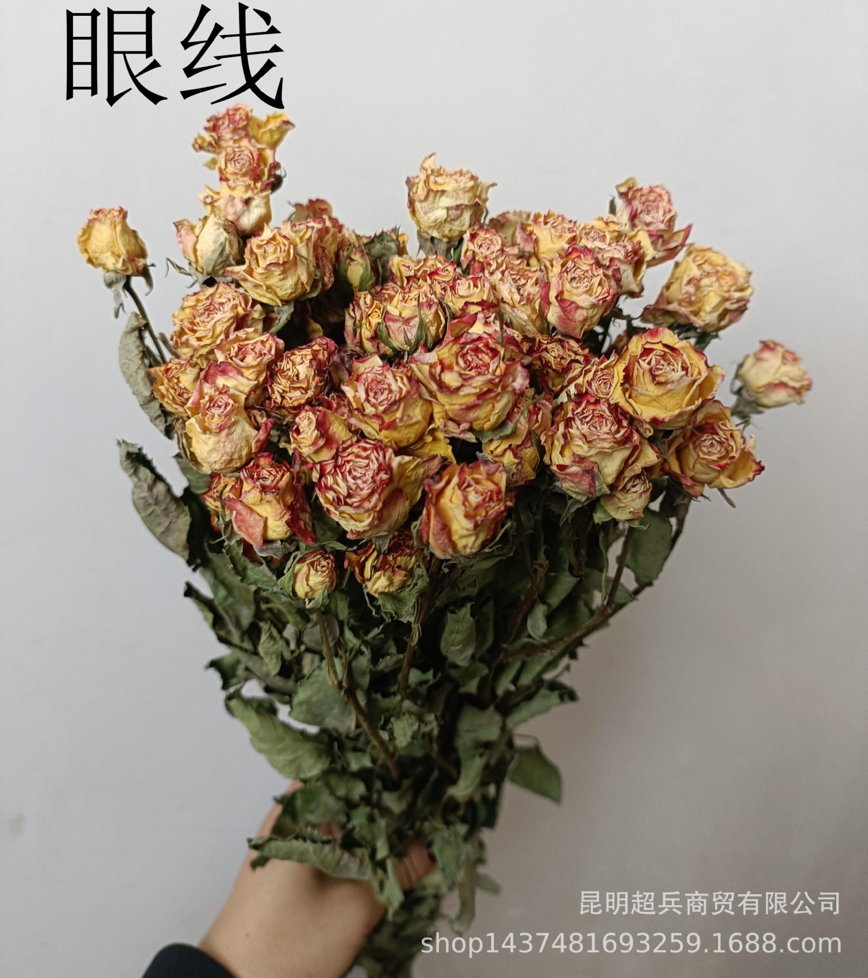 IMG20230727135048.jpg