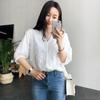 Blusa Simples Versátil Solta Chic Estilo Hong Kong Retro Coreana Verão 2024 Camisa com Bordado Vazado Decote V para Mulheres