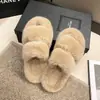 Pantuflas de felpa Dopamine, pantuflas sencillas para mujer, cálidas para el hogar, ideales para otoño e invierno (2026), comercio exterior transfronterizo, modernas y versátiles.