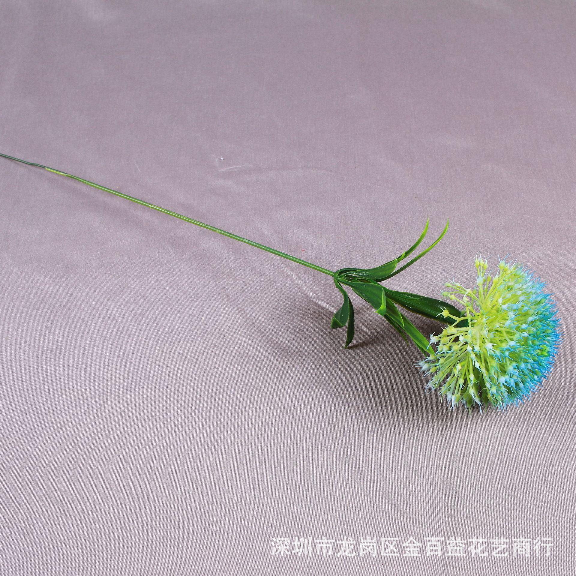 IMG_8532_副本.jpg