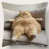 Fundas de Almohada de Gato Más Vendidas en Temu, Fundas de Almohada de Animales Lindas y Divertidas, Fundas de Cojín Decorativas para Dormitorio Hogar Sofá Venta al por Mayor