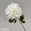 Flor Artificial de Dalia de un Solo Tallo Boda Decoración del Hogar Accesorios para Fotografía Dalia Exhibición de Comercio Exterior Crisantemo Oriental Espléndido