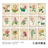 Papel Material Yanji - Serie Amanecer y Atardecer con Poesía - Base de Papel Decorativa para Diario DIY Vintage, 30 Hojas en 6 Diseños