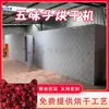 Secador para Schisandra chinensis, sala de secagem a ar para ervas medicinais chinesas, equipamento de secagem em larga escala para pimenta de Sichuan