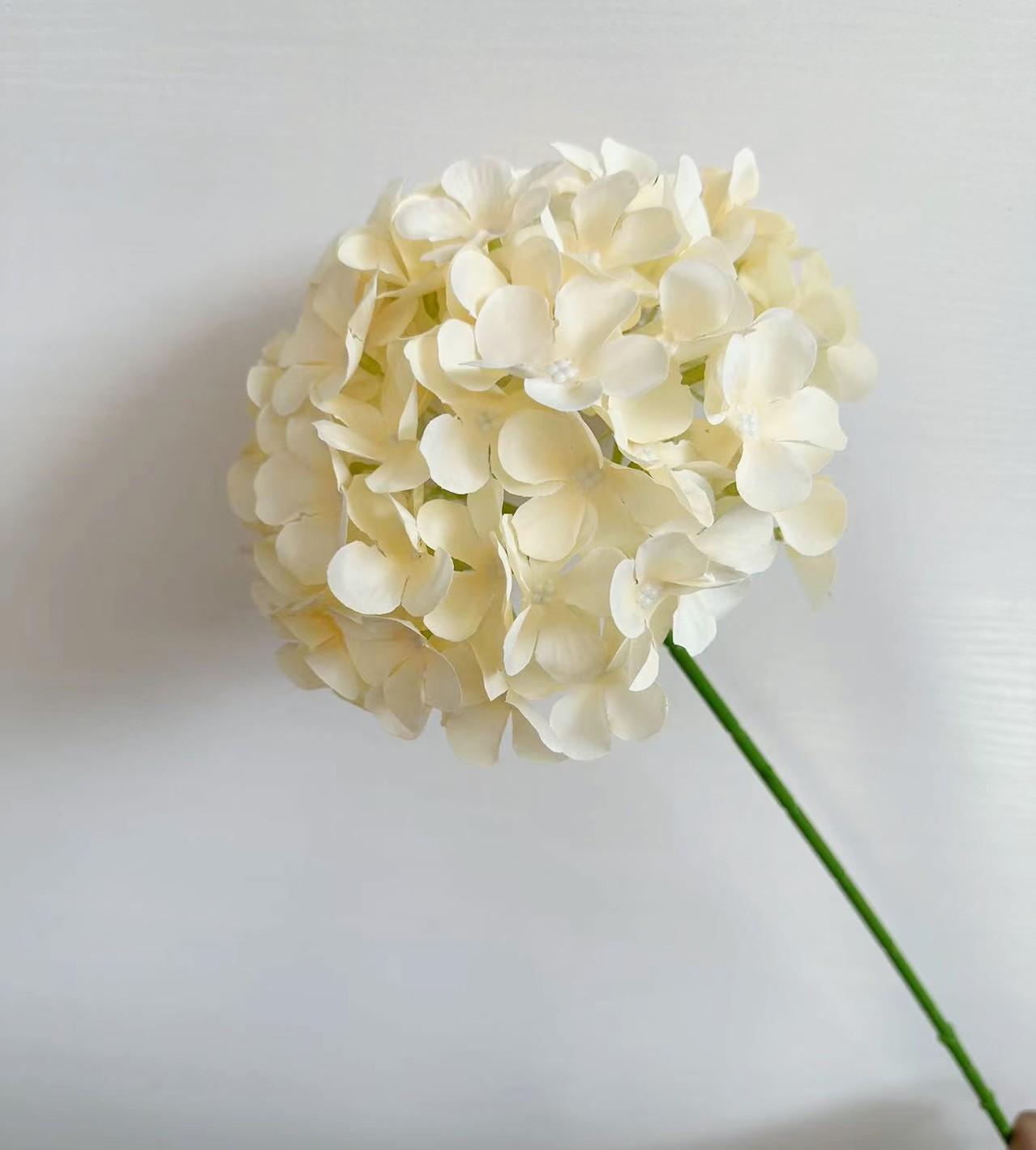 单支绣球香槟色