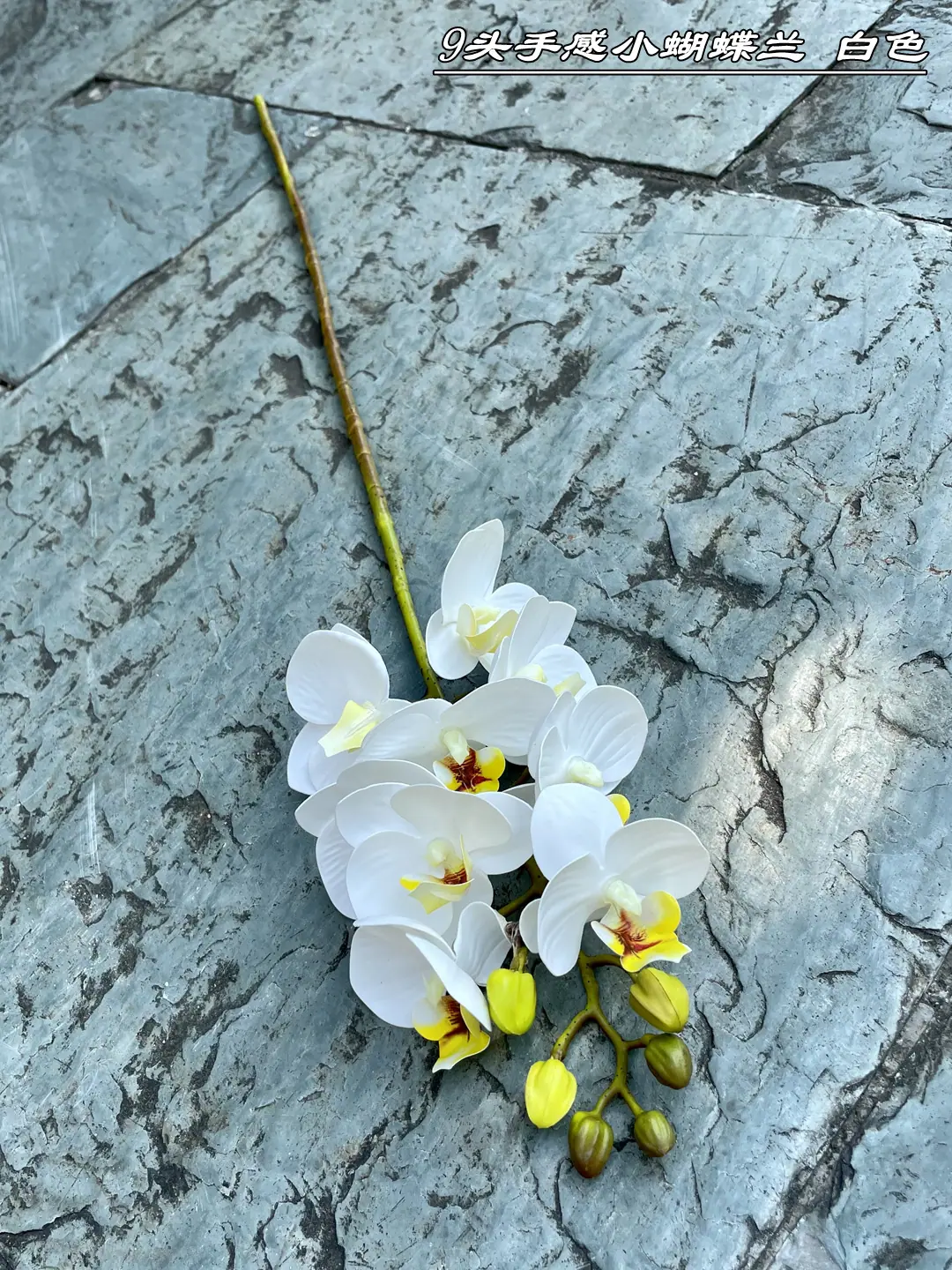 微信图片_20210724103052_副本.jpg