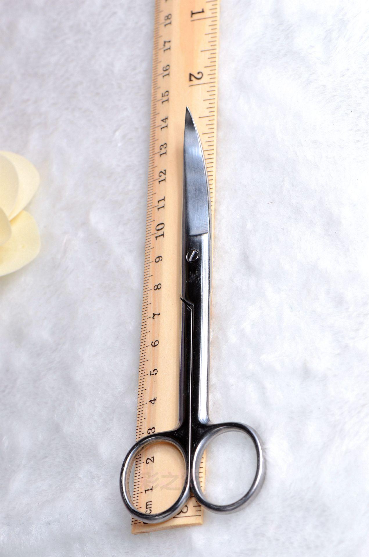 DSC_0281_副本_副本