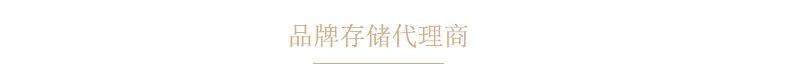 雷克沙S57 车载U盘32G 64G 128G推拉加密优盘闪