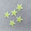 Cauda de Peixe Concha Gradiente Estrela do Mar Série Oceano Acessórios de Resina Artesanal DIY Capa de Celular Patch Acessórios para Pente
