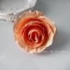 Rosa de montaña nevada de tamaño pequeño, cabeza de rosa de simulación, venta transfronteriza, producto en caja de flores con flores, caja de regalo de mano, decoración de pared de flores