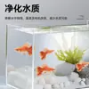 Purificador de Agua para Acuario Azul de Metileno para Peces, Trata el Hongo de Punto Blanco en Koi, Aclara la Solución de Cuerpo Podrido, Esteriliza y Purifica