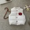 Chaleco de Plumas para Bebés y Niños Pequeños 2026 Otoño/Invierno Nueva Moda Cálido Chaleco sin Mangas para Niños, Plumón de Pato Blanco