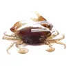 Hengjia Isca Macia Afundante para Caranguejos Grandes e Pequenos Pesca no Gelo de Inverno com Anzol Anti-Enrosco Isca de Pesca no Gelo