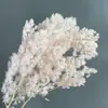 Pino Penglai Flor Inmortal Ramo de Flores Secas Boda Decoración del Hogar Regalo Día de San Valentín Chino Paquete de Material Fabricante Transfronterizo Venta al por Mayor