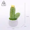 Cactos e Suculentas Crochê Transfronteiriços em Vasos, Plantas Verdes Artificiais Crochê Feitas à Mão, Enfeites de Mesa de Suculentas, Bonecas de Lã