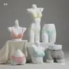 Accesorios para Modelos de Lencería, Maniquíes de Medio Cuerpo Femeninos y Masculinos, Figuras de Plástico para Exhibir Sujetadores y Ropa Interior, Exhibidores para Escaparates