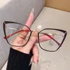 Nuevas Gafas Retro Artísticas Cat-Eye para Mujer, Estilo de Alta Gama, Adecuadas para un Look Natural, Se Pueden Adaptar con Lentes Graduadas, Estilo Coreano, Gafas de Montura Grande