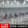 Stalls de Límite Montados en el Suelo Hechos a Medida por el Fabricante con Tubos Galvanizados Engrosados y Reforzados para Granjas de Cerdos, Stalls de Alimentación de Límite Estándar para Cerdas