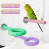 Percha Ampliada para Limar Pico y Garras para Loros, Percha de Resina para Limar Garras, Soporte de Percha Antideslizante para Periquitos y Cacatúas