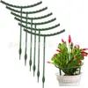 Marco de soporte para plantas transfronterizo estaca para plantas estaca de soporte para plantas herramienta de jardín bonsái soporte para orquídeas soporte para flores de vid trepadora