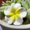 Moda transfronteiriça DIY acessórios de flor de argila macia multicoloridos brincos de plumeria cor cruzada gradiente acessórios para tornozeleira
