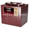 Batería Americana Qiu Jian T-125 para Coche Turístico de Paseo 6V260Ah Carrito de Golf con 1 Año de Garantía