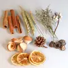 Kit DIY Difusor de Aroma Sem Chama com Rodelas de Limão, Canela, Flores Secas, Folhas de Eucalipto, Pinhas Pequenas e Trigo Perfumado