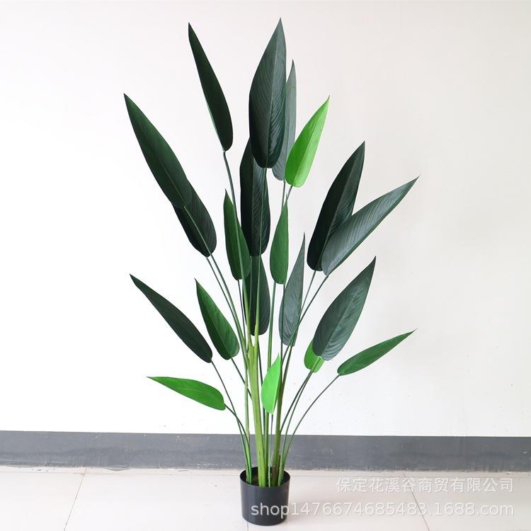 水美人-5尺 149元_副本.jpg