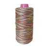 Hilo de coser de poliéster de colores teñido por segmentos a alta temperatura hilo para bordar hilo para coser manualidades hilo para bordar hilo pagoda hilo para máquina de coser