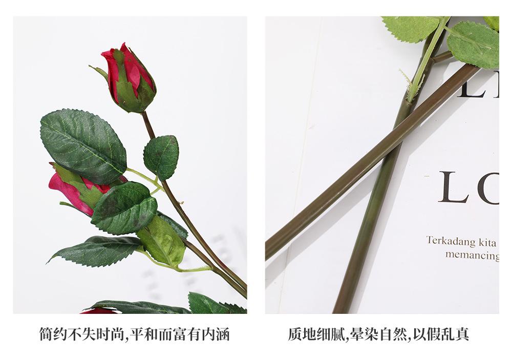 76.5头手感小多尔玫_09.jpg