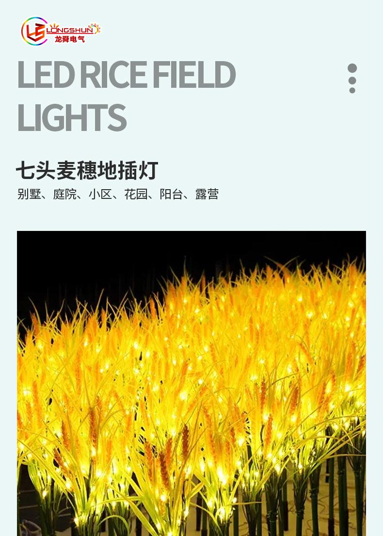 详情_01.jpg