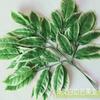 Hojas Simuladas, Hojas Falsas, Ramas Simuladas, Ramas Falsas, Hojas Verdes, Hojas de Higuera Benjamina, Ginkgo Amarillo, Hojas de Mango, Ramas de Higuera Benjamina