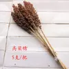 Decorações Agrícolas, Espigas de Trigo, Flores Secas, Espigas de Arroz, Sorgo, Painço, Caules de Gergelim, Galhos Secos, Buquês de Flores, Arranjos Florais, Adereços para Festa da Colheita