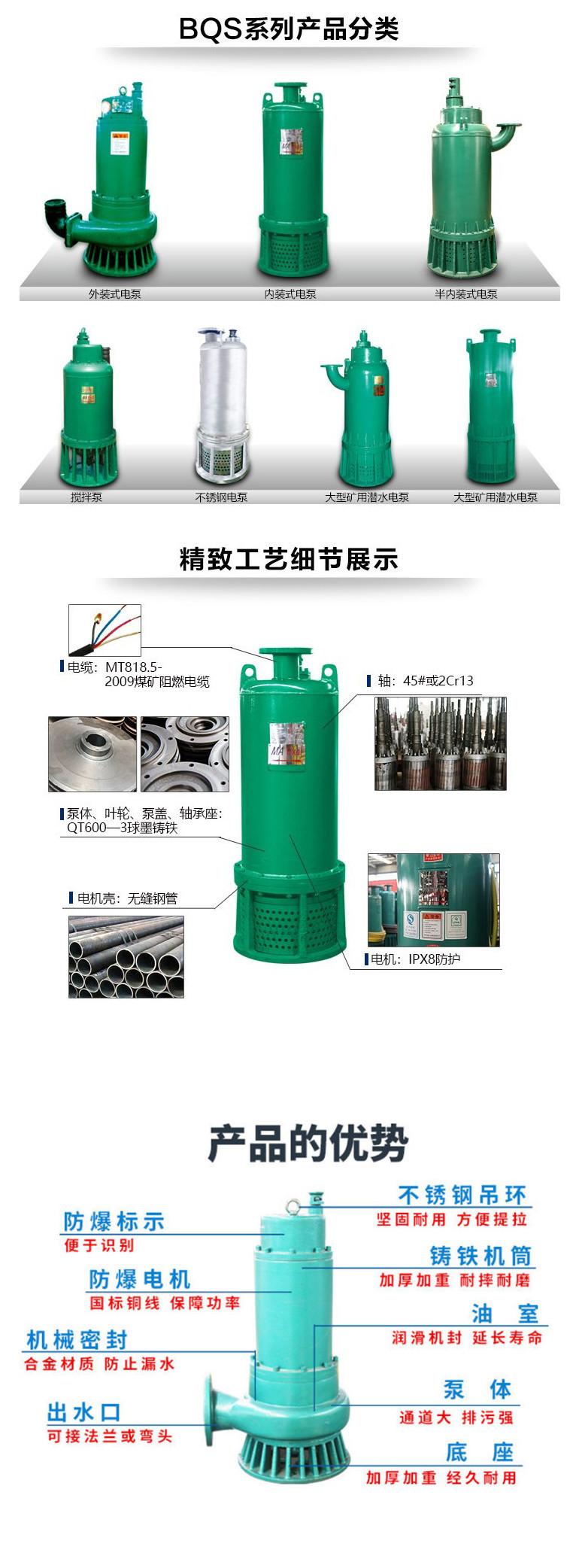 BQS排沙泵详情1.jpg