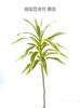 Nova simulação fábrica de plantas verdes Phnom Penh Lily bambu macio jardim decoração de casamento folha verde fábrica de flores falsas atacado
