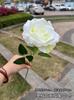 Día de San Valentín rosas rojas individuales fabricantes de comercio exterior rosas individuales llenas de deseos decoración de boda flores falsas al por mayor
