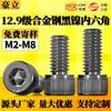 Tornillos de alta resistencia Grado 12.9 Níquel Negro Cabeza de Copa Hexagonal Socket Cabeza Cilíndrica Pernos Extendidos M2.5M3M4M5M6M8