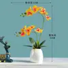 Adornos Florales al por Mayor, Plantas Pequeñas en Maceta Phalaenopsis, Flores Artificiales, Escritorio de Sala de Estar, Vestíbulo, Flores y Plantas Verdes, Decoración