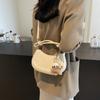 Bolso pequeño de otoño e invierno para mujer, bolso bandolera portátil de textura de alta gama, estilo occidental, retro, combinable, 2024