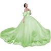 AliExpress Amazon Lace Decal Open Shoulder Adulto Cerimônia Tutu Vestido Vestido De Baile Vestido De Princesa Vestido Feminino