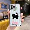 Funda Transparente Popular de Gato Rayado de Xiaohongshu para Apple 17 Pro Max, Funda Magnética Acrílica Femenina