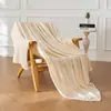 Manta de Flanela Xadrez Abacaxi Liso Dupla Face Jacquard Veludo Coral Manta de Intervalo Manta de Presente para Empresa