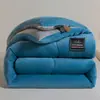 Leite de Inverno Fleece Edredom de Inverno Dormitório Estudantil Edredom de Primavera e Outono Dupla Face Fleece de Coral Edredom de Algodão Adicionado Fleece Espessado Núcleo de Edredom Quente