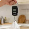 Balanza Electrónica Portátil de Alta Precisión para Uso Doméstico, Mini Báscula de Pescado Portátil Pequeña con Resorte, Báscula de Gancho Compacta de Mano
