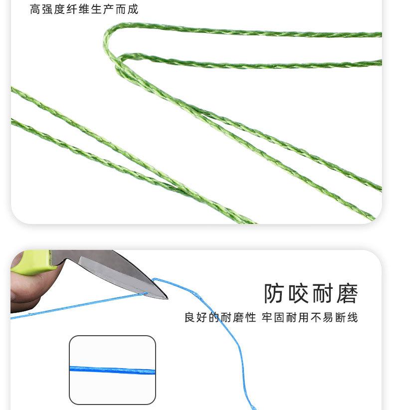 线感_06