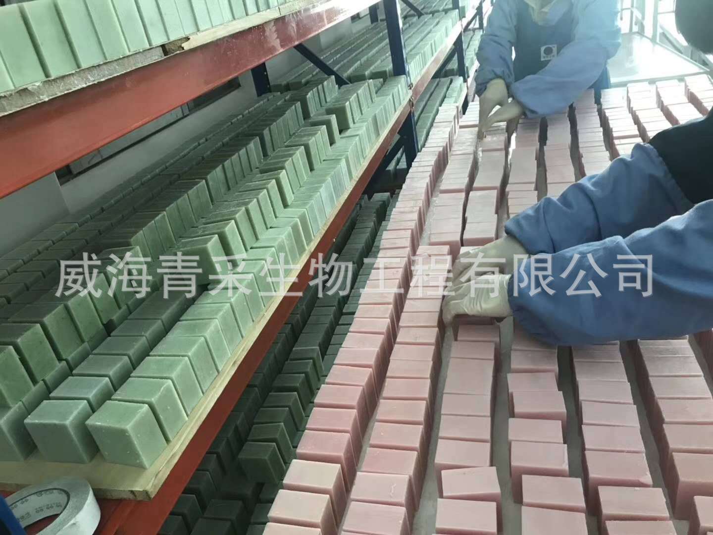 微信图片_20190511095556
