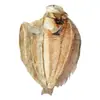 Mariscos Especiales de Beihai, Guangxi, Pescado de Tierra Capturado en el Mar, Productos Secos, Rodaballo Conservado en Hierro, Mariscos Secos, Pescado 0.5kg